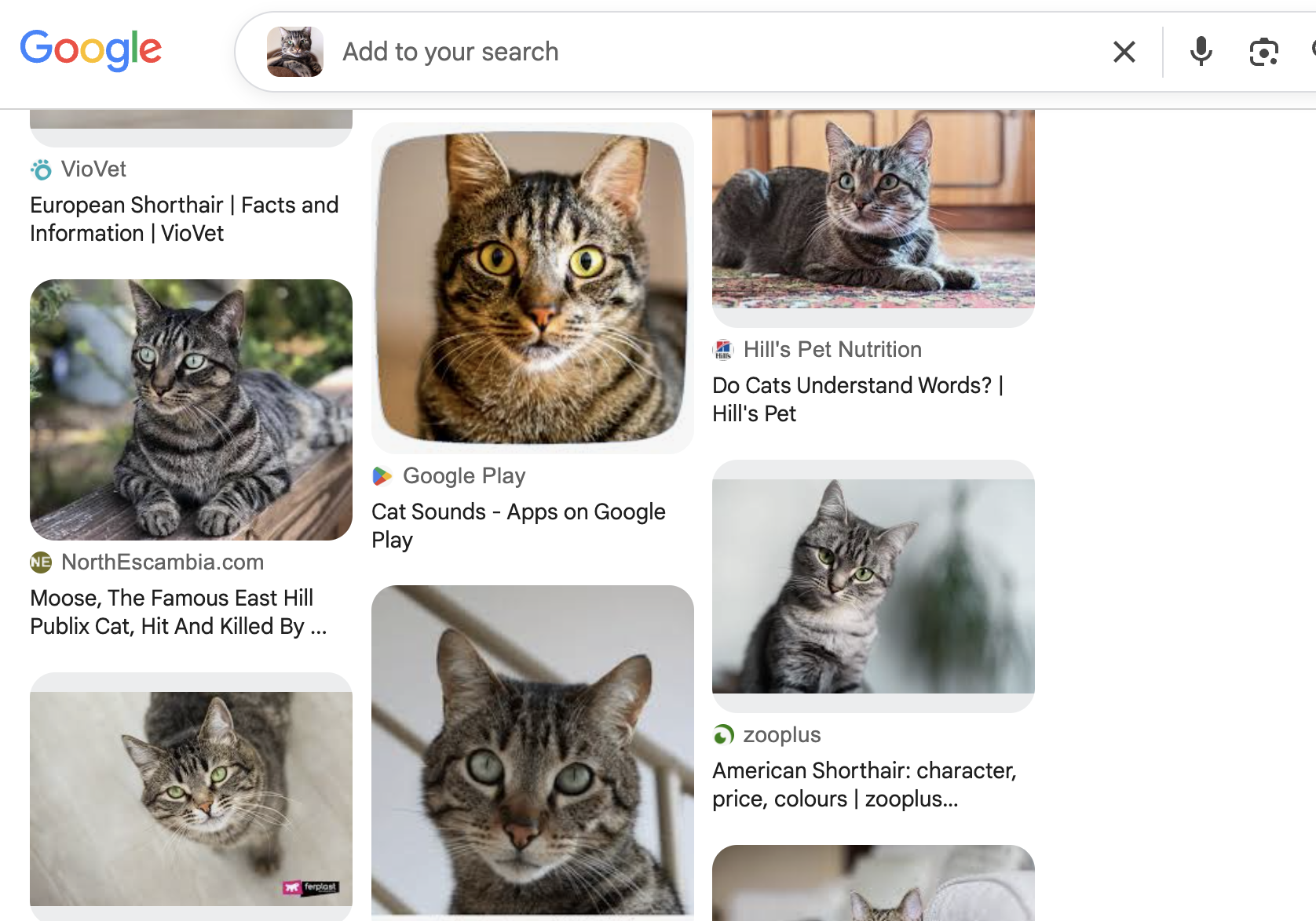 SearchResult